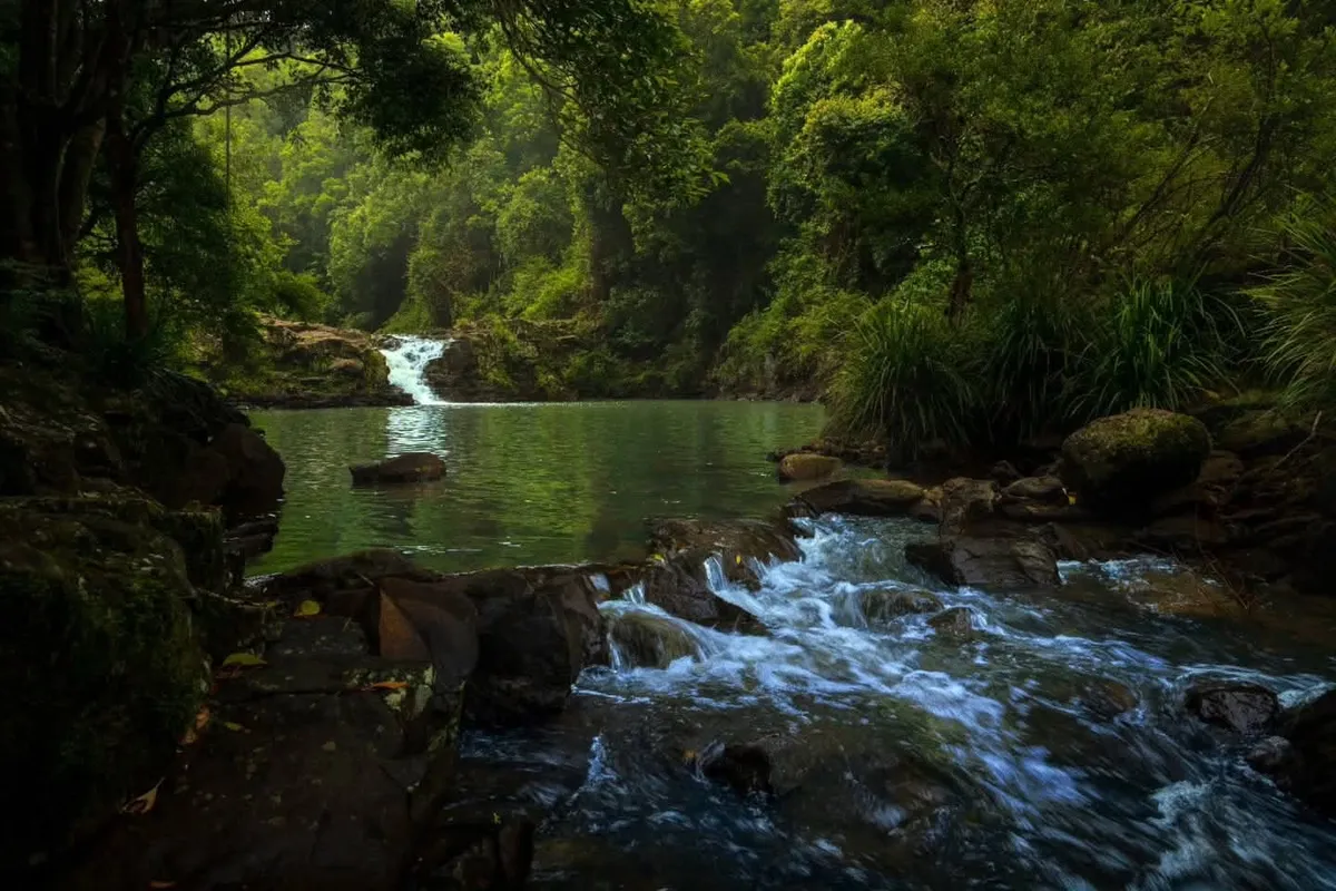 Rainforest stream flowing over rocks near Maleny