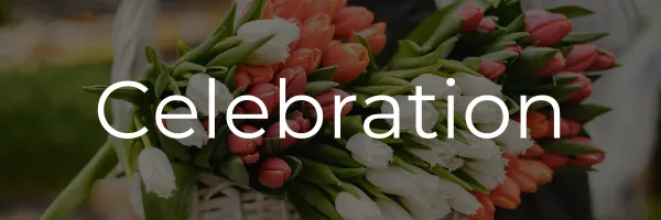 Celebration