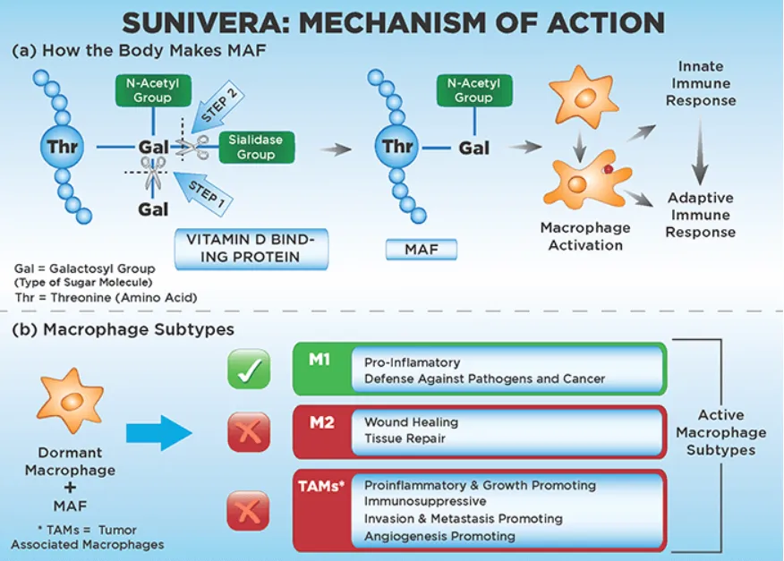 Sunivera™ Bio-Immunotherapy Protocol