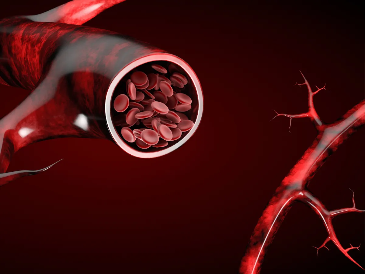 Anti-Angiogenic Therapies