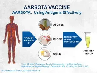 Emotional/Spiritual Therapies