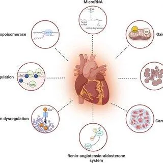 Emotional/Spiritual Therapies