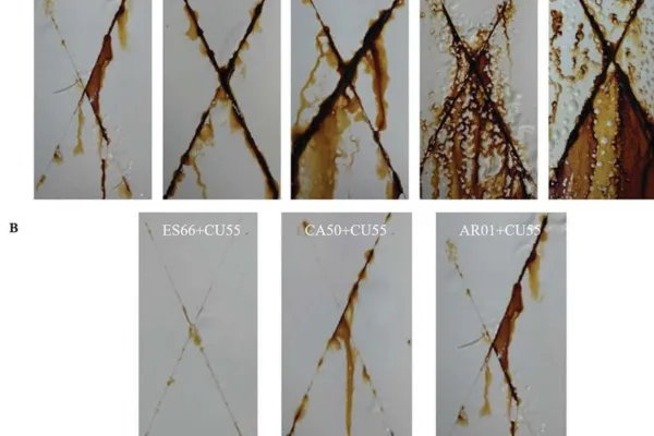 Salt Spray Resistant Coating