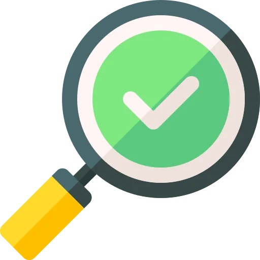 inspection icon
