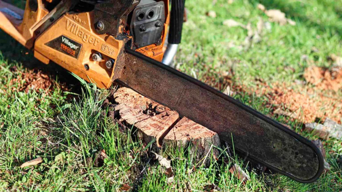 stump grinding