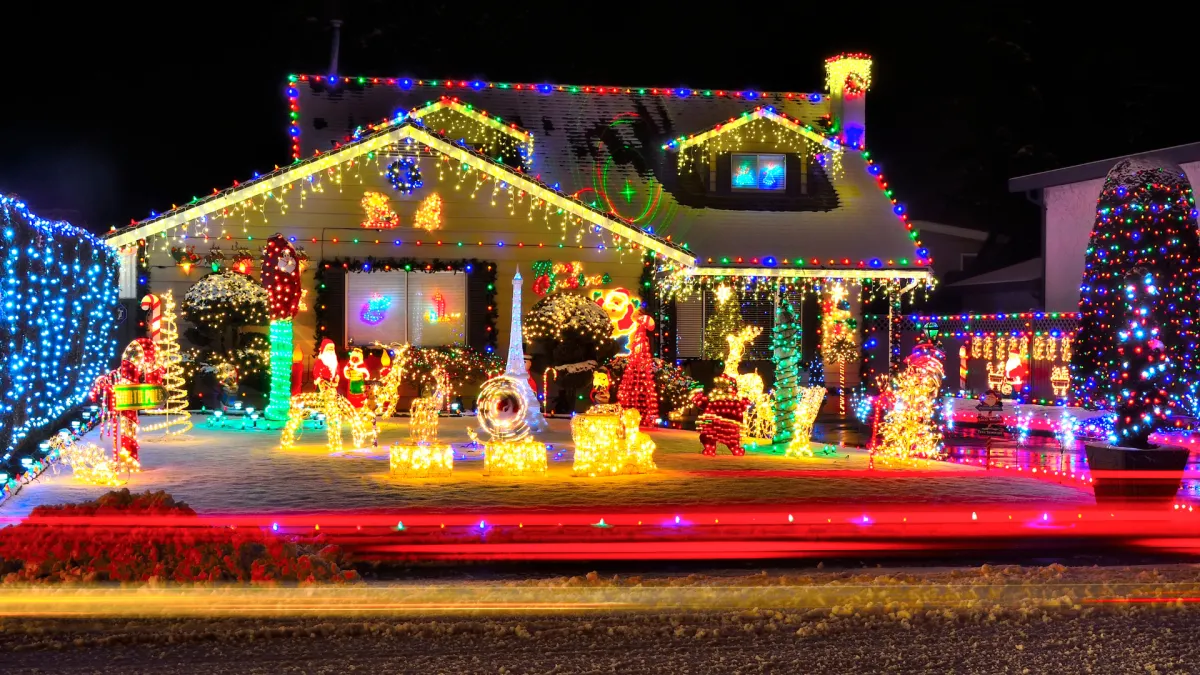 a group of bushes with lights in the background