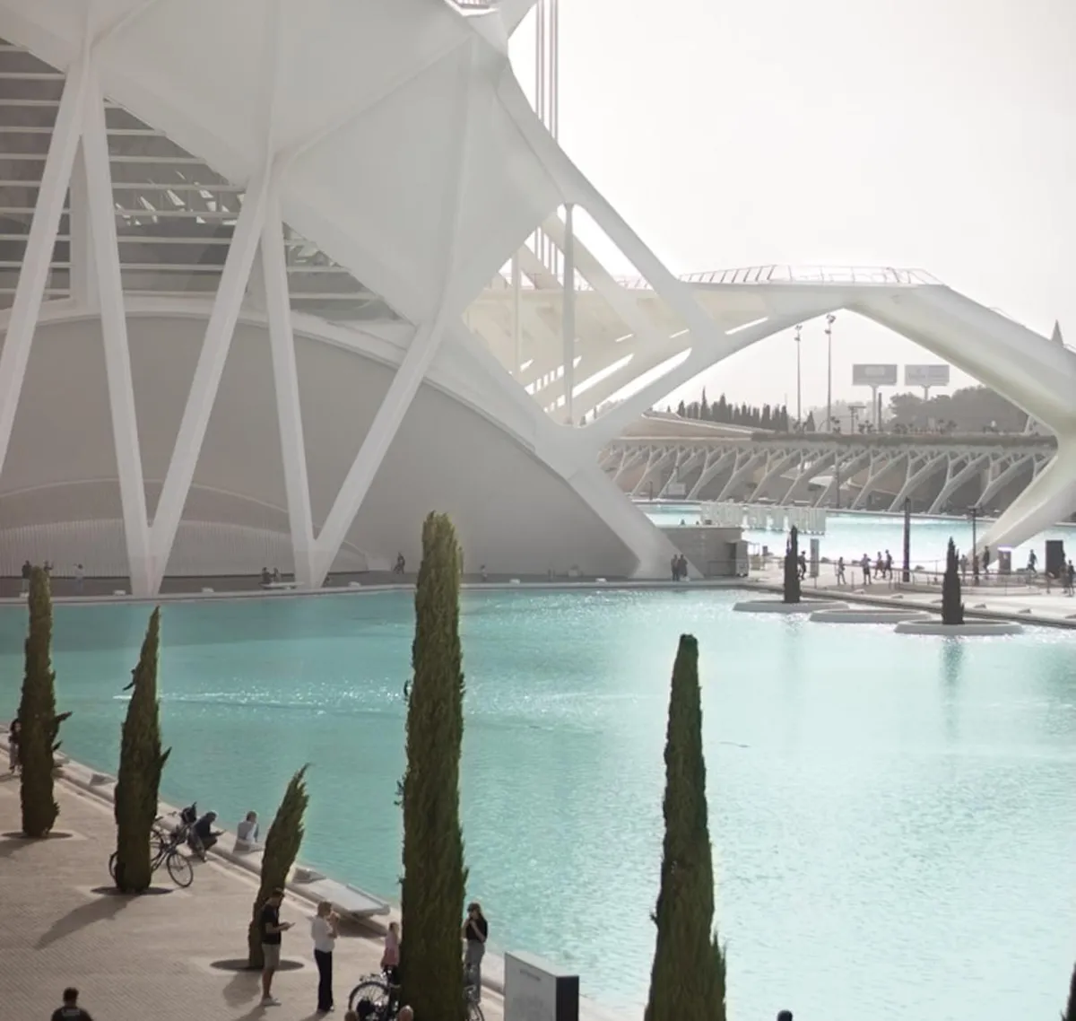 ciudad artes y ciencias valencia