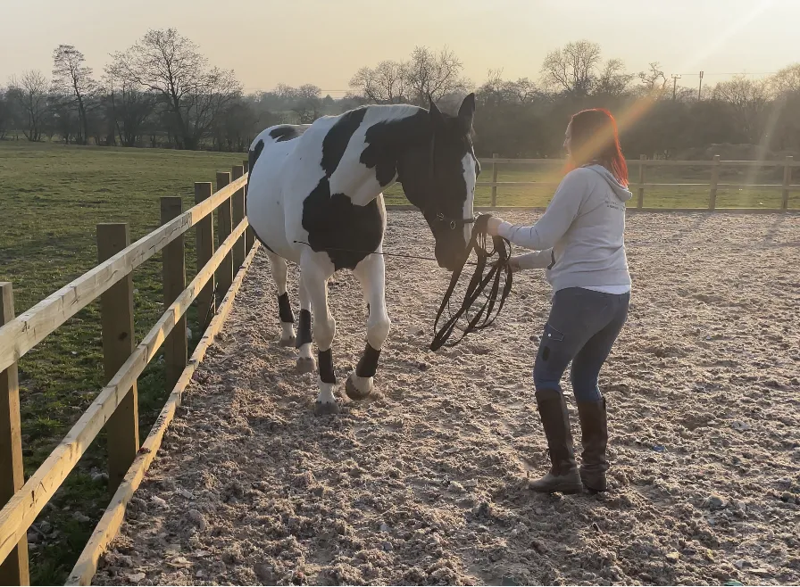 Why Flexible Horses Move Better