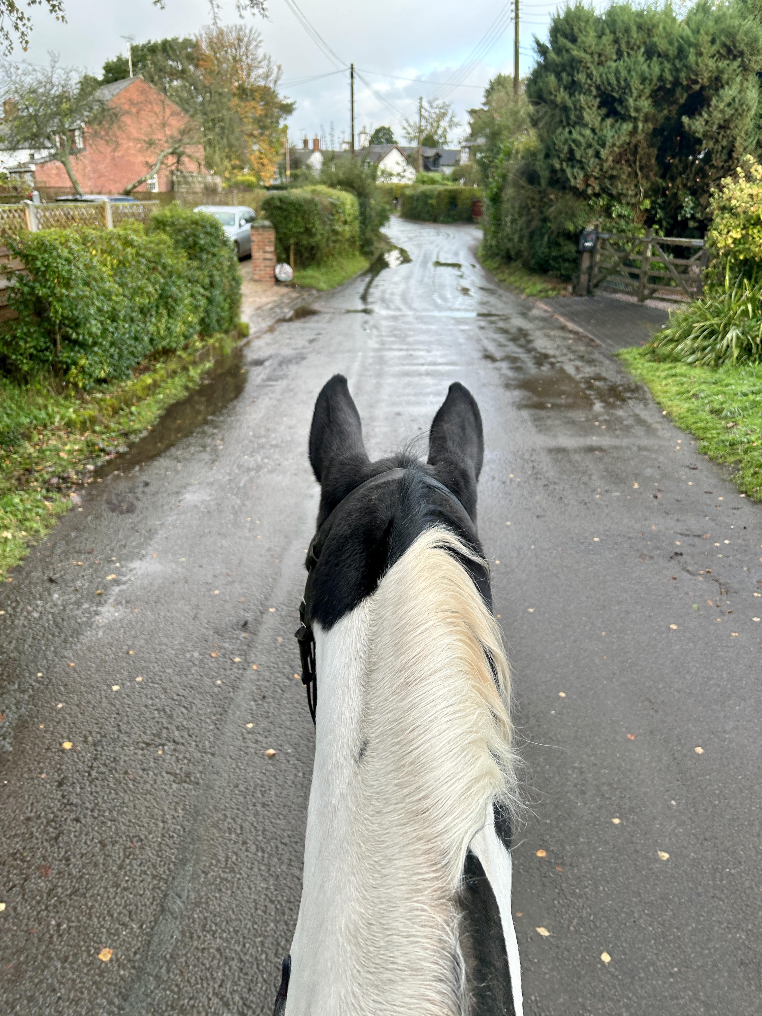 Spring into Strength – How to Bring Your Horse Back Into Work Safely