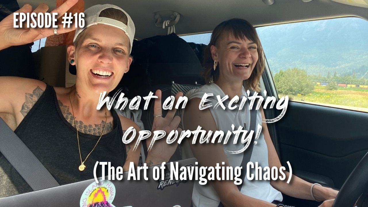 EPISODE 16 - What an Exciting Opportunity! (The Art of Navigating Chaos)