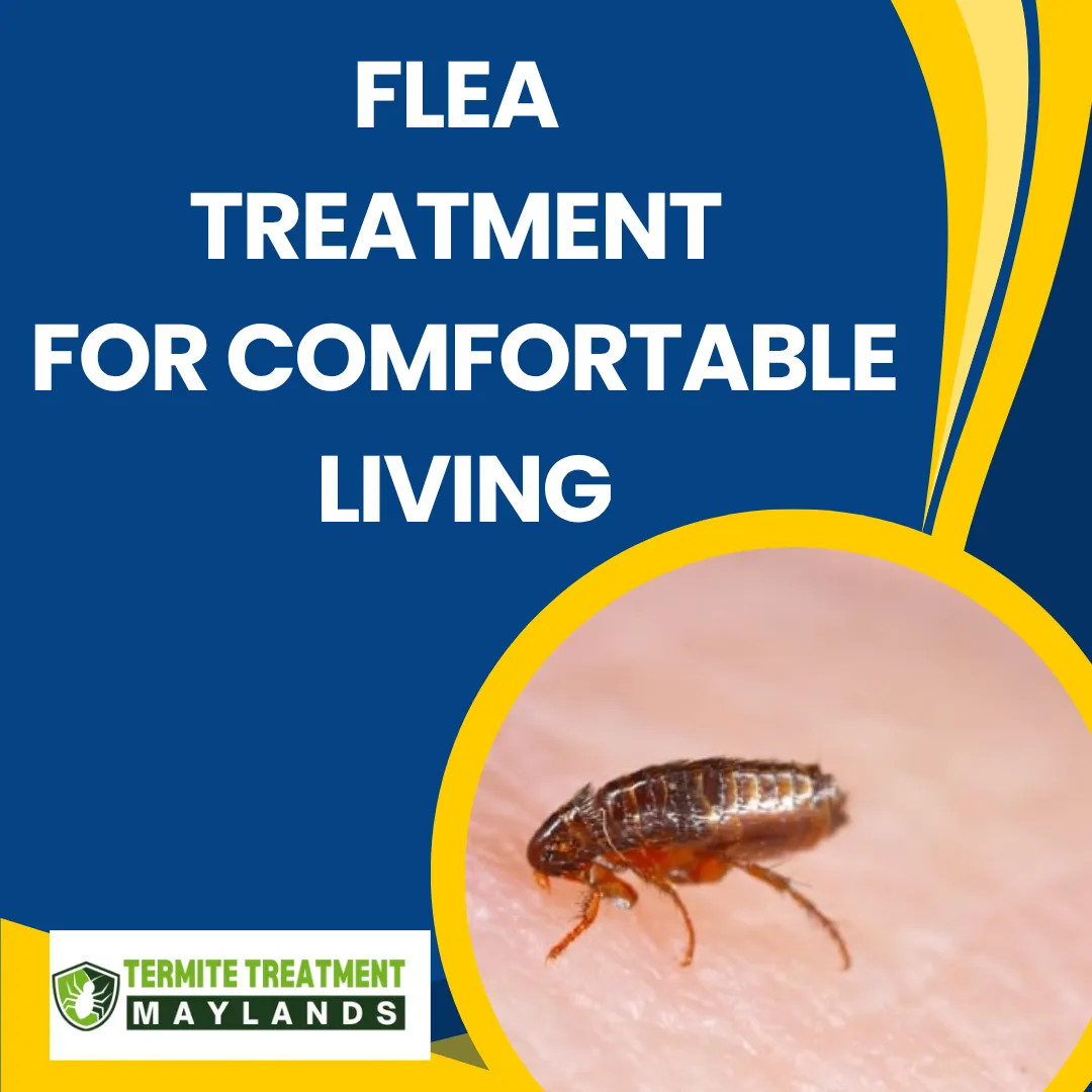 Flea treatment service