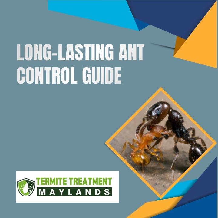 Ant Treatment Products