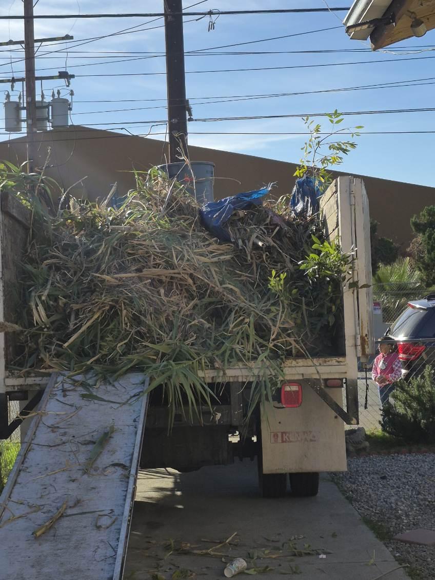 Truck loaded with cleared yard debris and branches - Blanco's Hauling and Handyman Service in San Bernardino