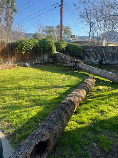 Yard Waste Removal by Blanco's Hauling and Handyman Service in San Bernardino