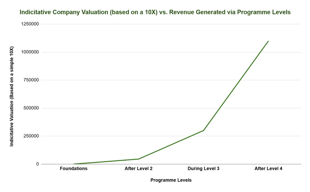 Indicative Company Valuation based on Revenue Generation