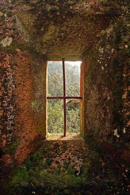 Close up of a wall with a window in a run down building; the wall is covered in moss and lichen with the metal rebar, glass-less window centered in the frame