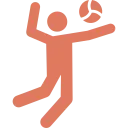 Volleyball Icon