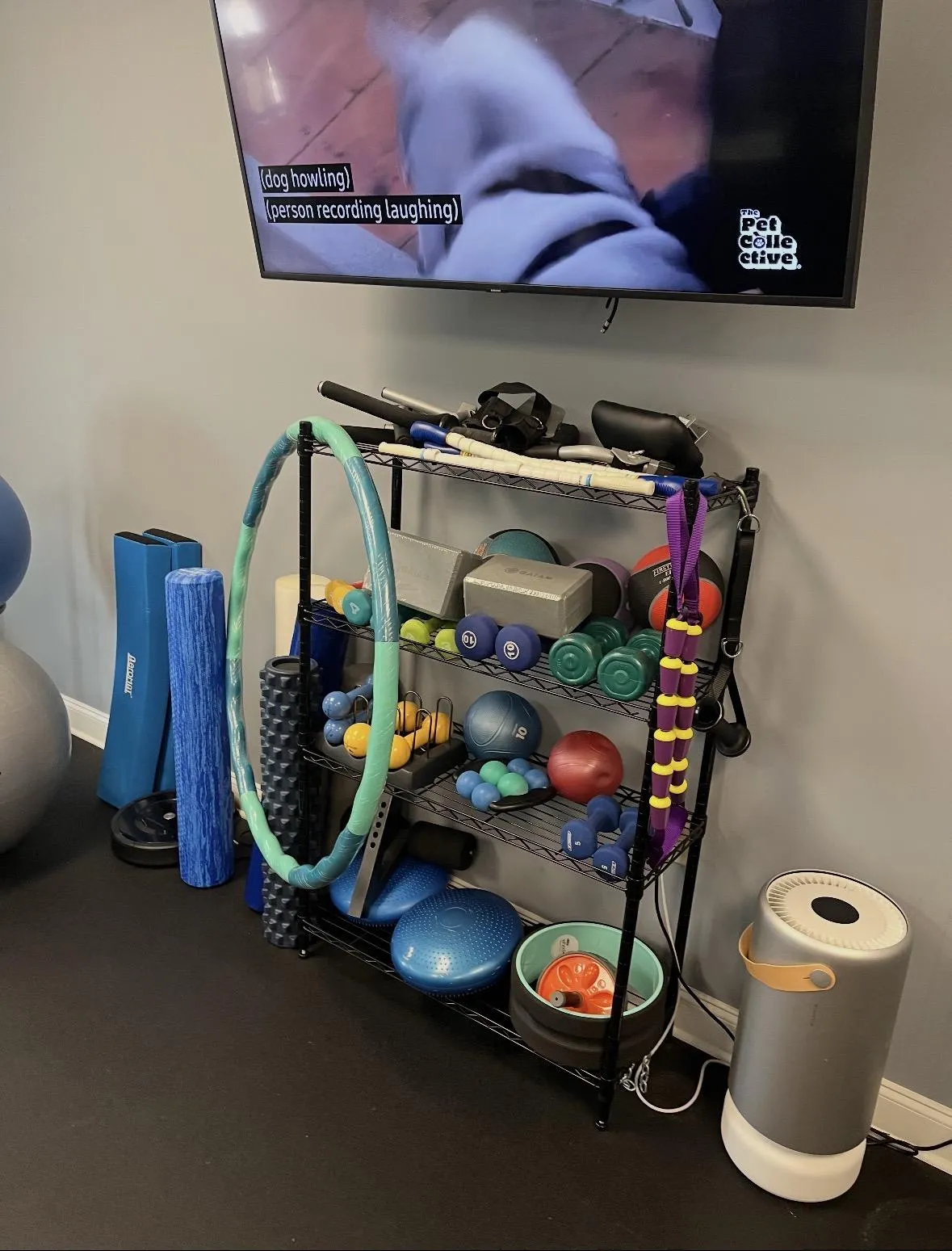 Physical Therapy in Hartselle, AL