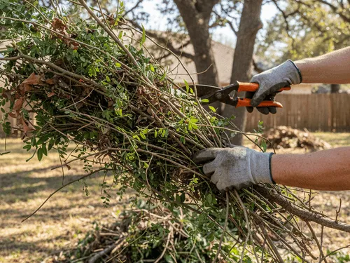 Converse, TX Yard Waste & Brush Removal
