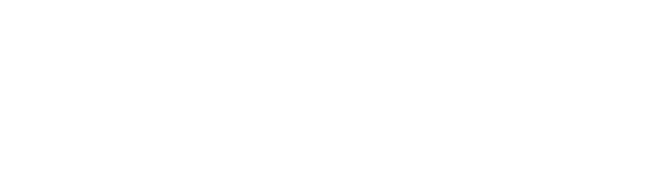 Executive Solutions USA Logo