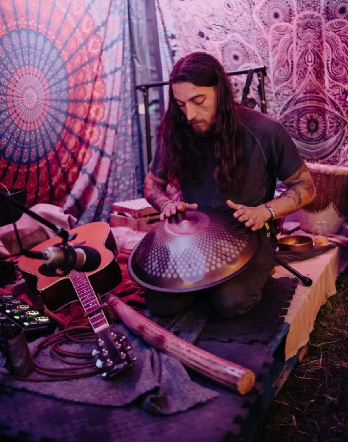 Native plant garden design