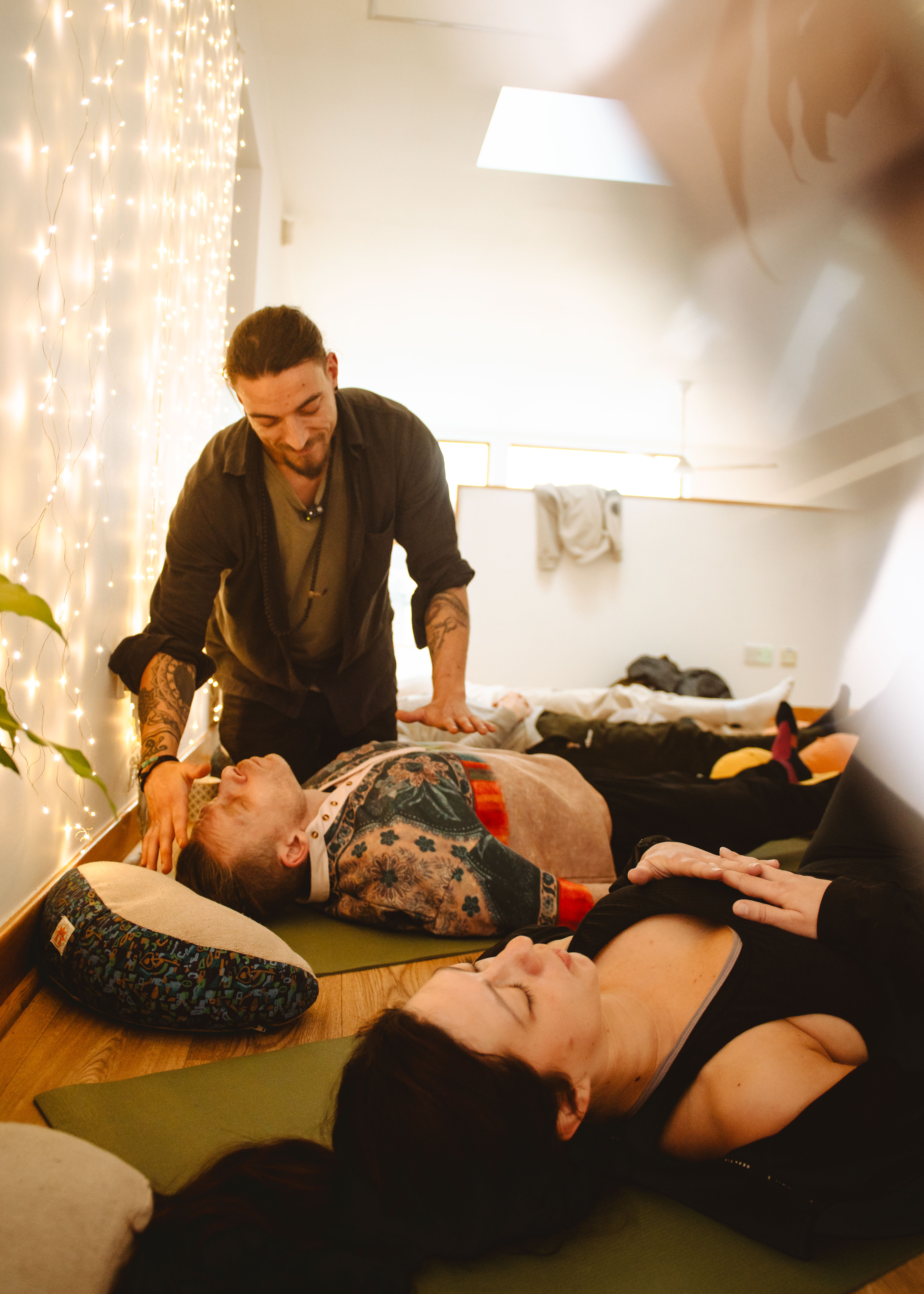 Native plant garden design