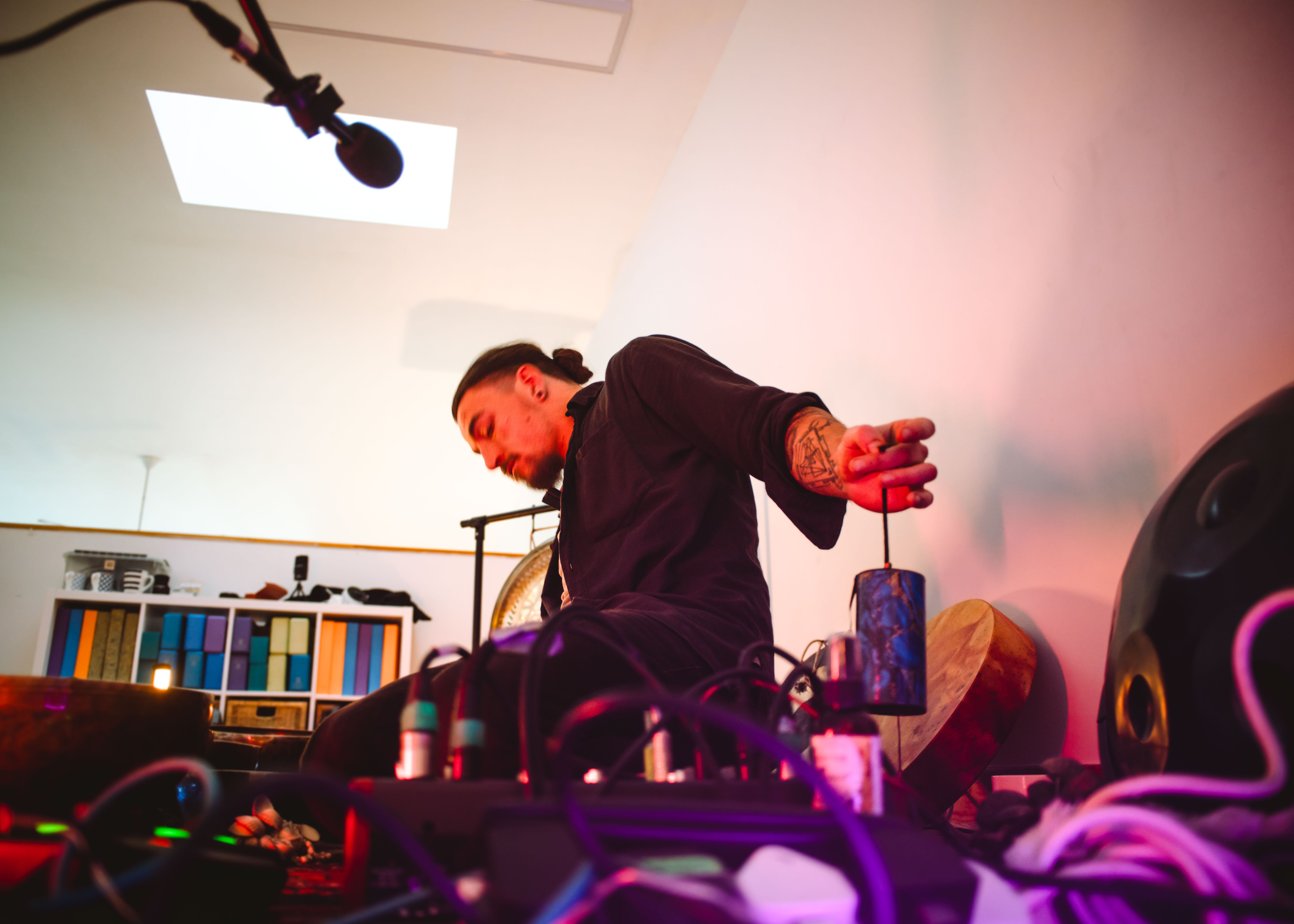 Native plant garden design