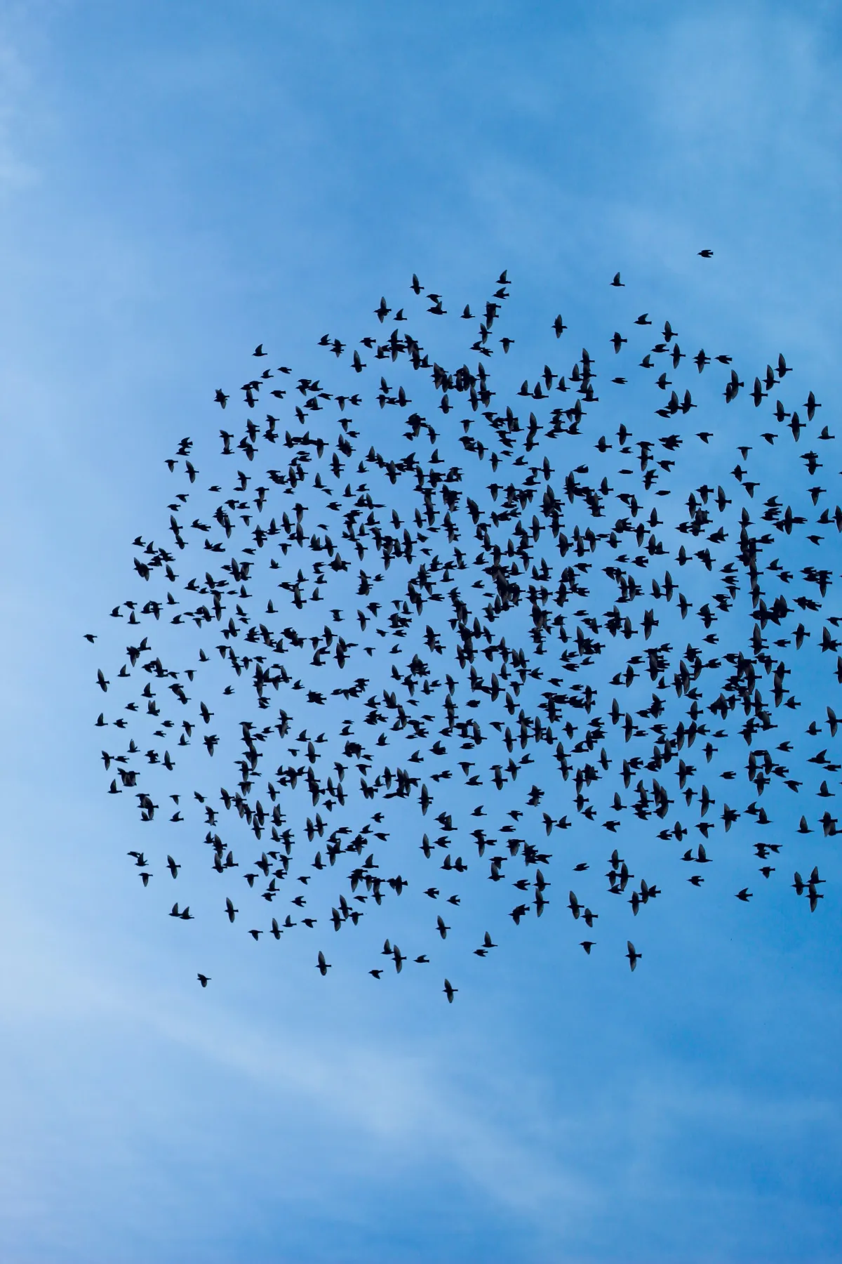 Entreprises : Un levier de performance