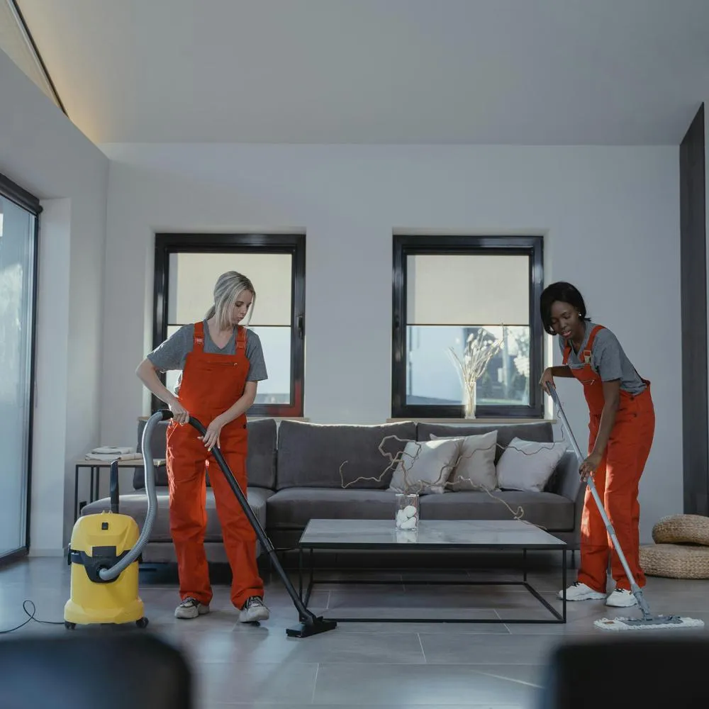 Seasonal property care and home upkeep service in New Zealand