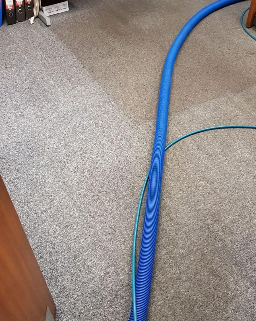 Carpet after Paul has cleaned it with the 8 step process