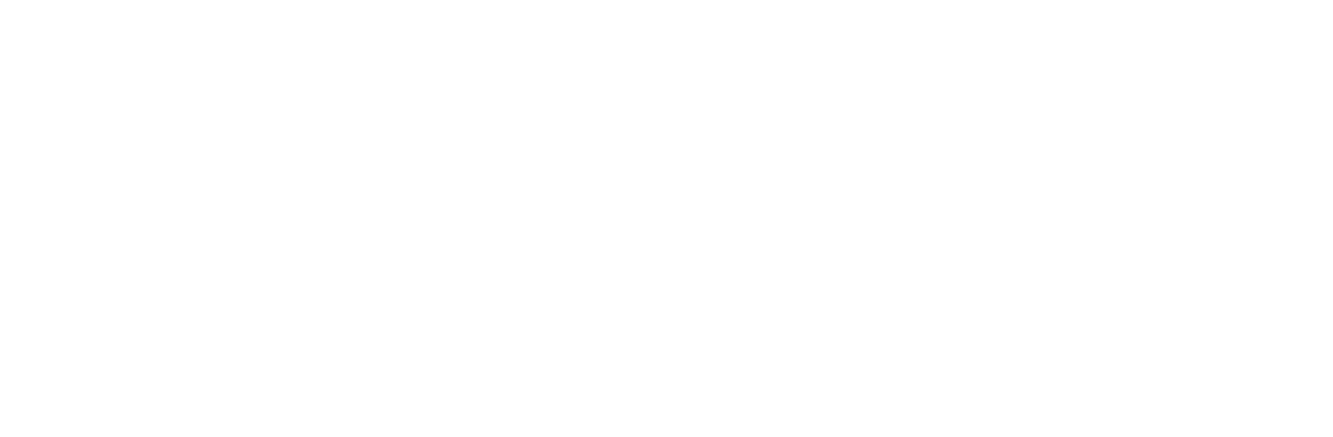 Balticore Logo