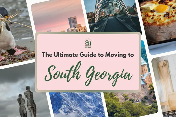 The Ultimate Guide to Moving to South Georgia