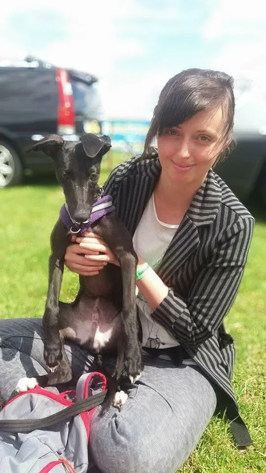 Whippet Puppy Training