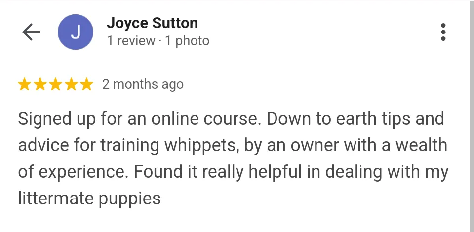 litermate whippet training