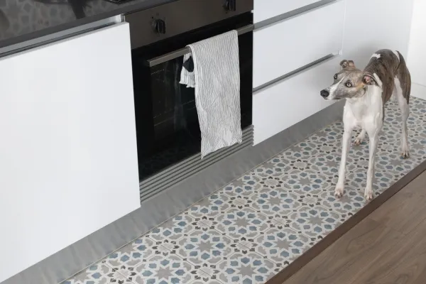 Whippet in Kitchen