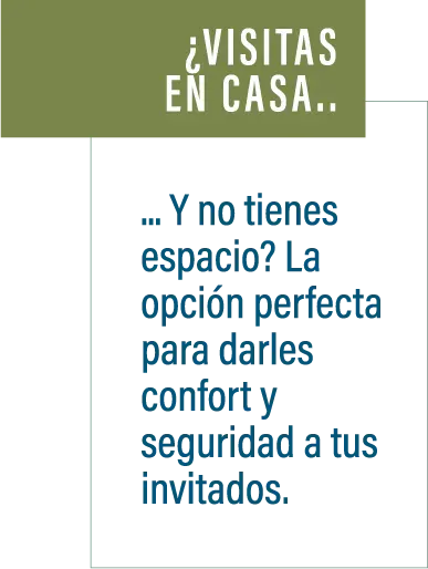 Elemento decorativo complementario a la derecha del titular