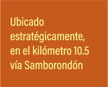Elemento decorativo complementario a la derecha del titular