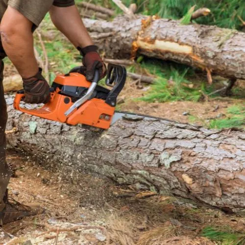 man cutting tree from hazardous tree