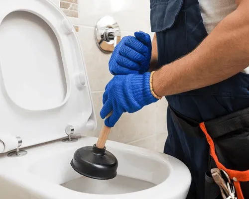 Ross Township Toilet Repair
