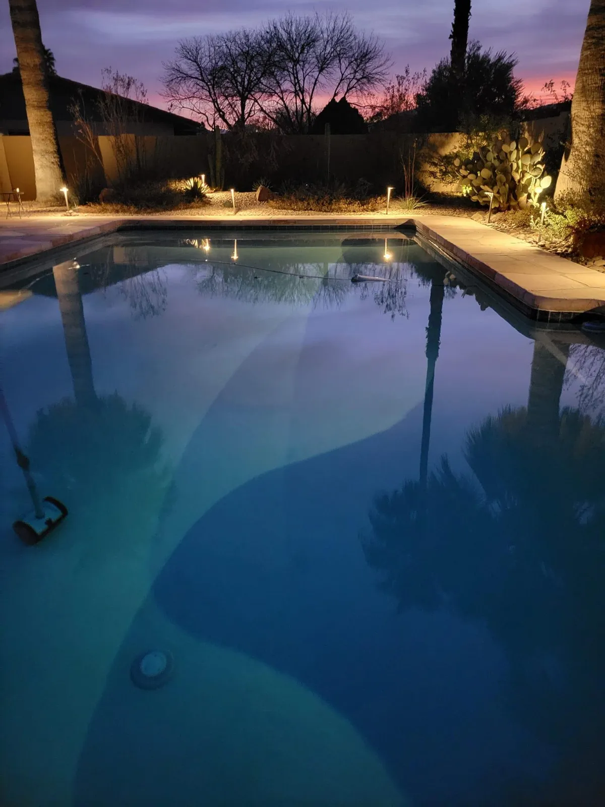 "Sparkling blue pool set against the Arizona desert backdrop, framed by cacti and bathed in warm, golden sunlight."