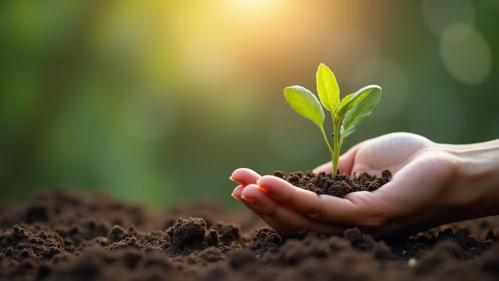 Unveiling the Benefits of Cancer Coaching