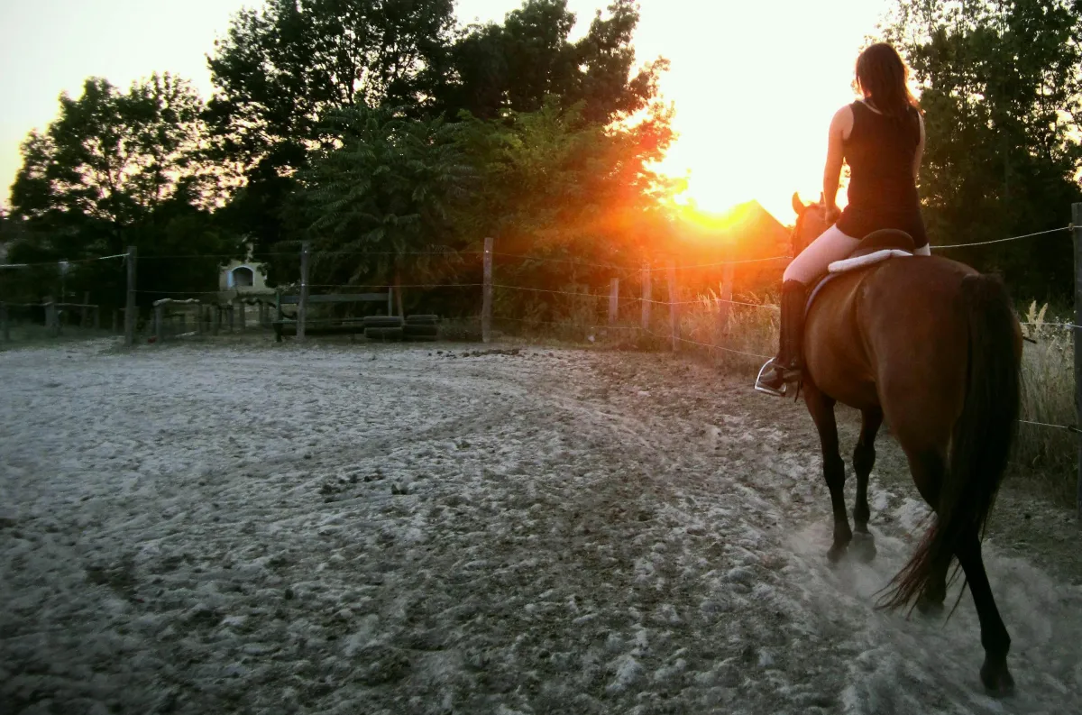 Sandra Kaufer eitet im Sonnununtergang
