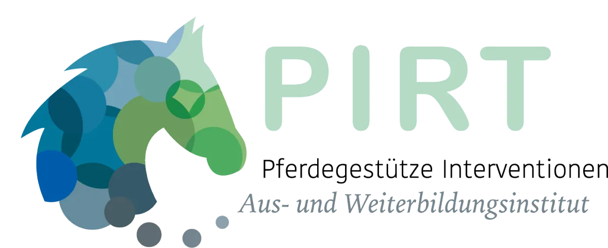logo PIRT