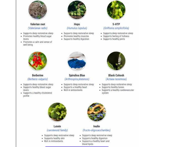 Sumatra Slim Belly Tonic Ingredients