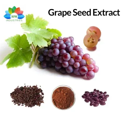 Grape Seed Extract 