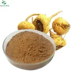 Maca Root Extract