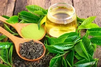 Green Tea Leaf Extract