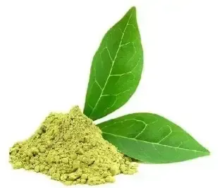 Gymnema Leaf Extract