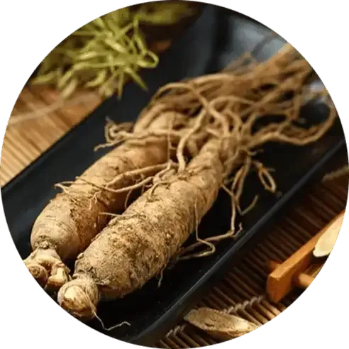 Grape Seed Extract 