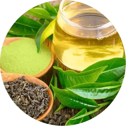 African Mango Seed Extract 